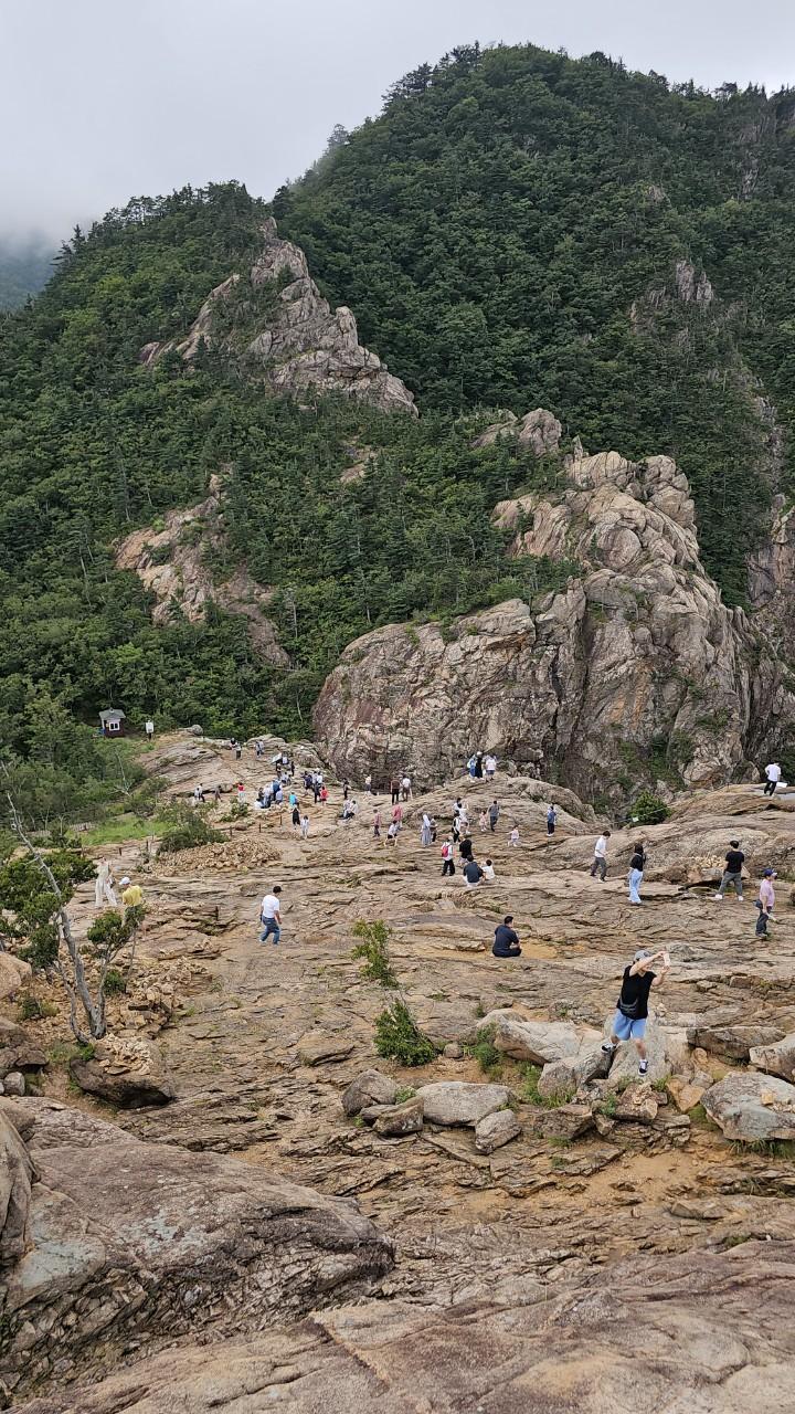 54팽우회 13.jpg